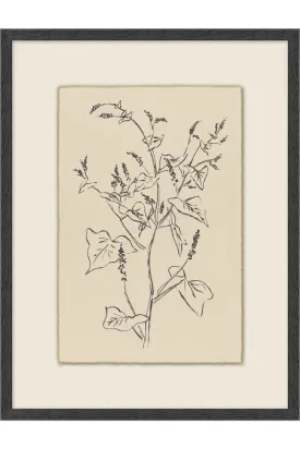 Calm Sprout - 6 Styles