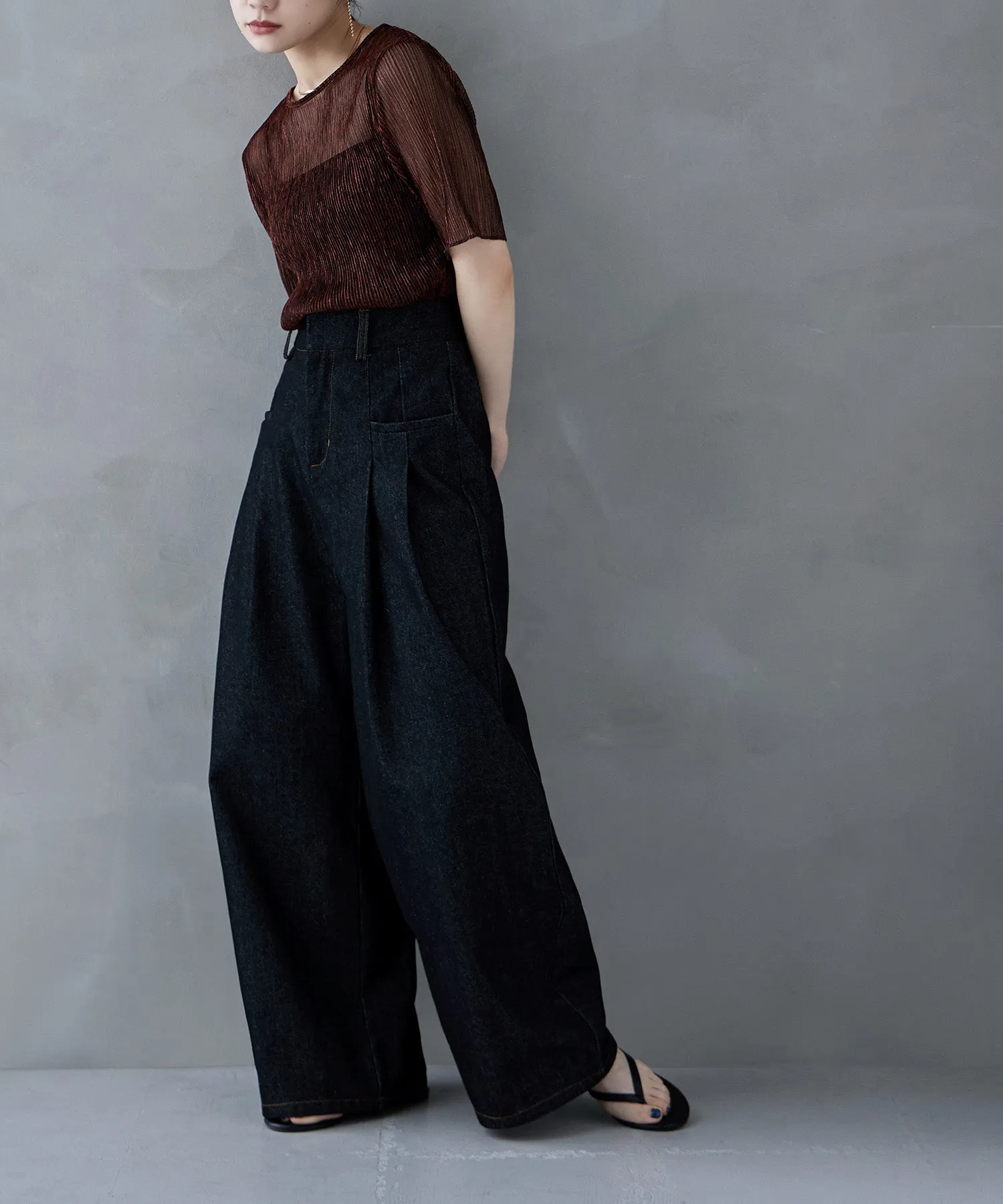 Lame sheer pleats tops