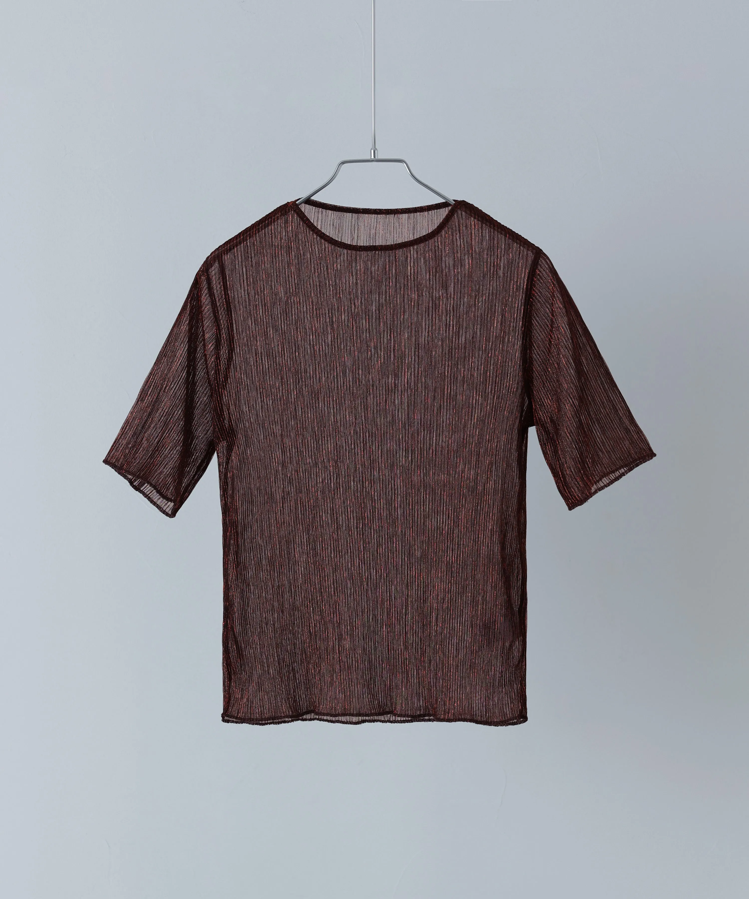 Lame sheer pleats tops