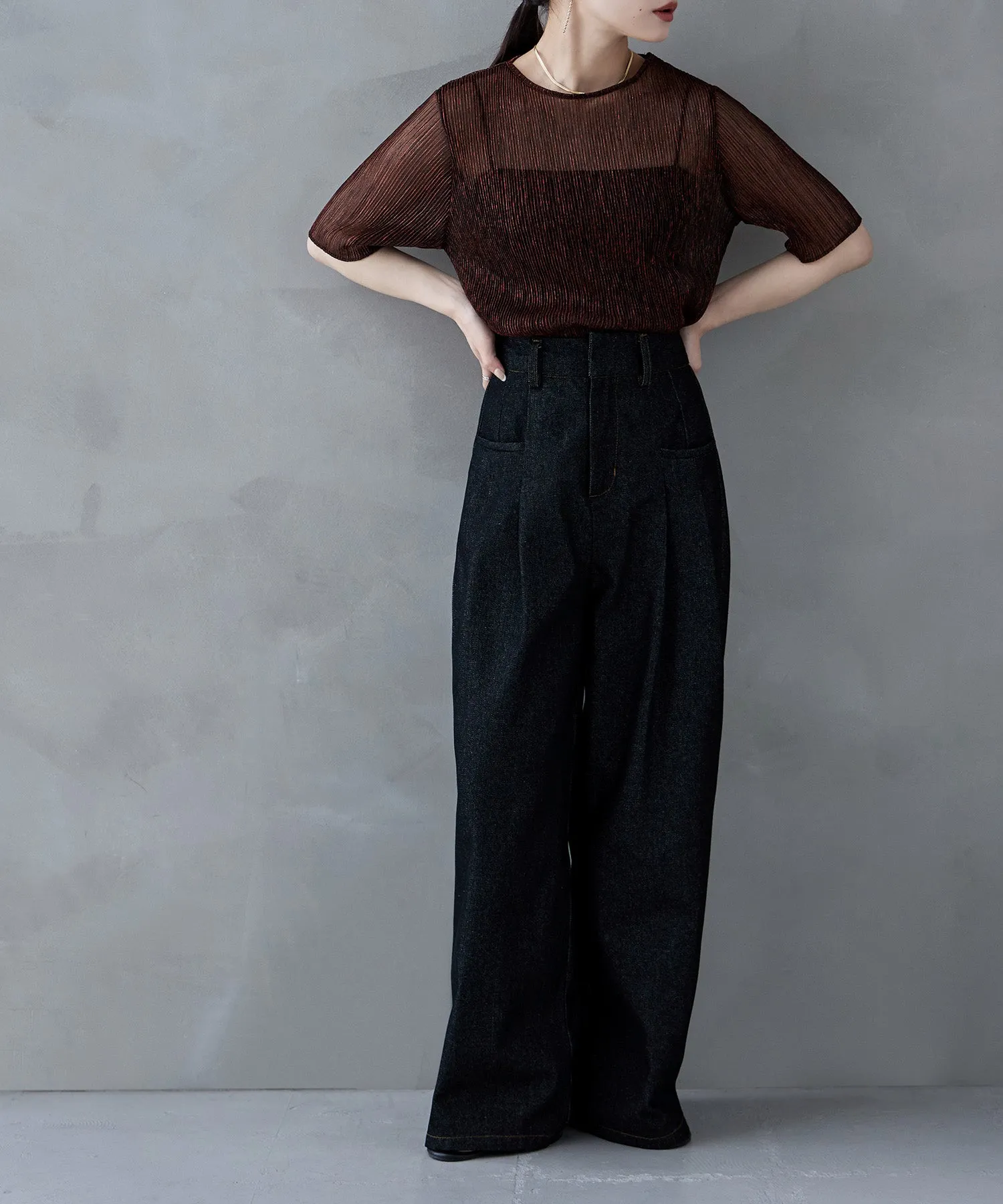 Lame sheer pleats tops