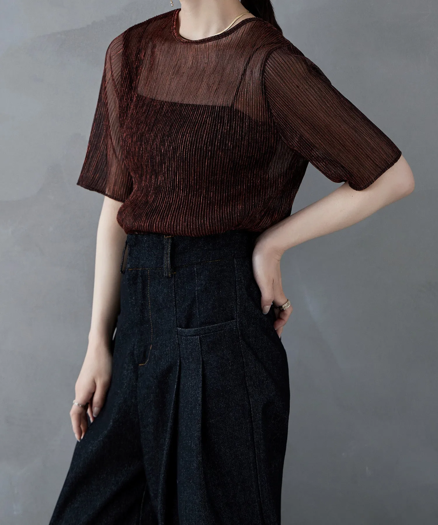 Lame sheer pleats tops