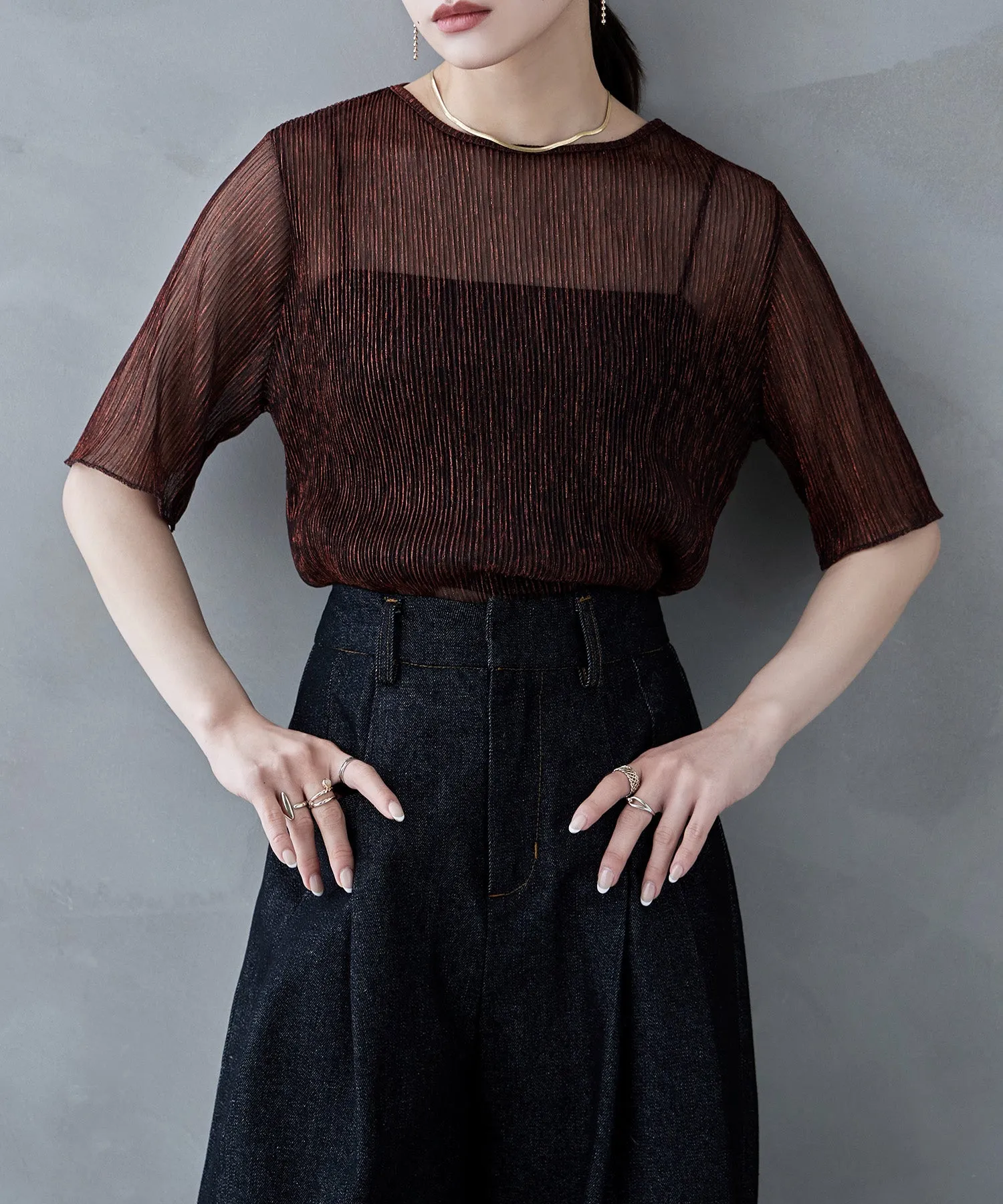Lame sheer pleats tops