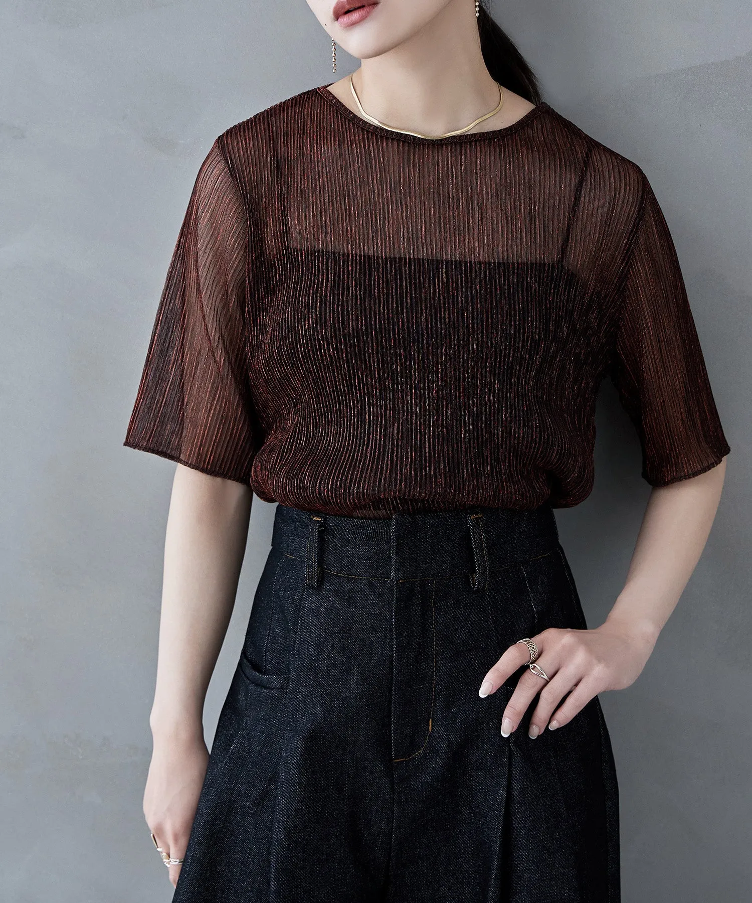 Lame sheer pleats tops